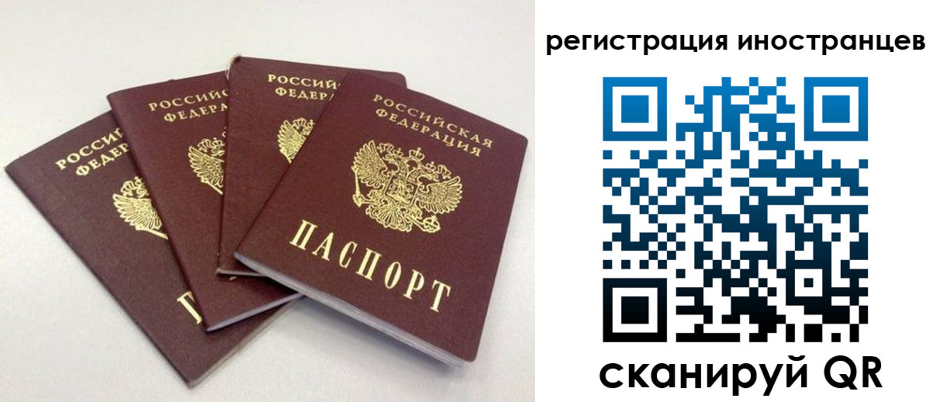временная регистрация для школы в Тосно